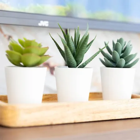 Apartment Ivory Penthouse W Hot Tub By Homely!